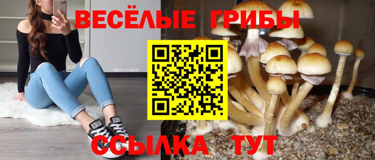 Галлюциногенные грибы Cubensis  Вход с VPN  как найти закладки  Кировск  Галлюциногенные грибы мухоморы 