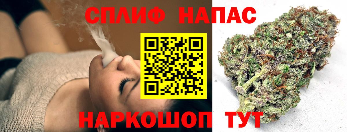 Псилоцибиновые грибы Кировск